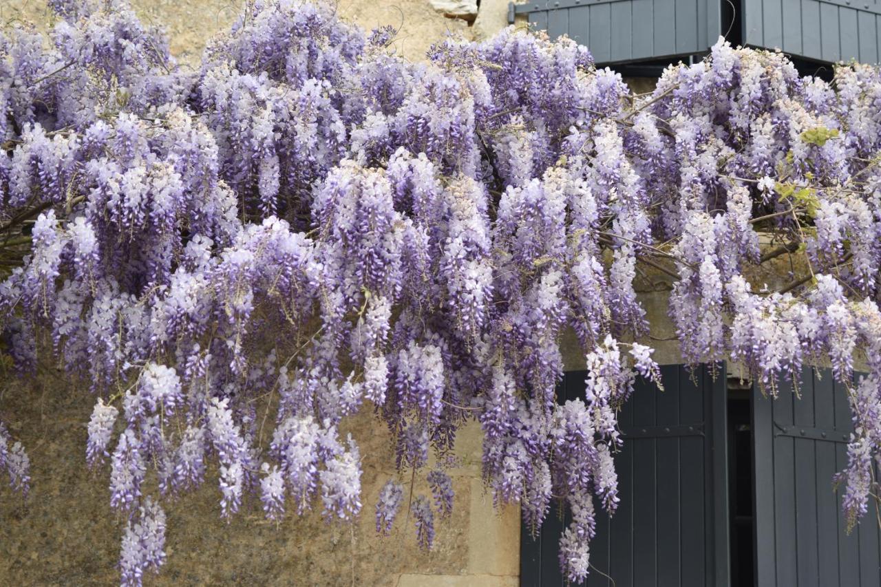 Un Jardin Et Trois Maisons Brux Exteriör bild